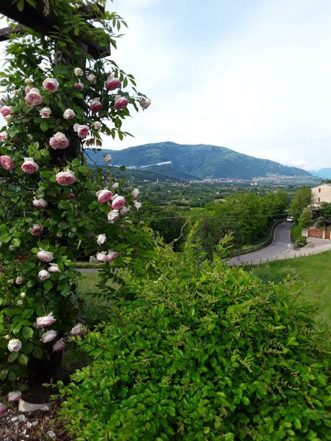 Locanda Bellavista Cavaso Del Tomba Экстерьер фото